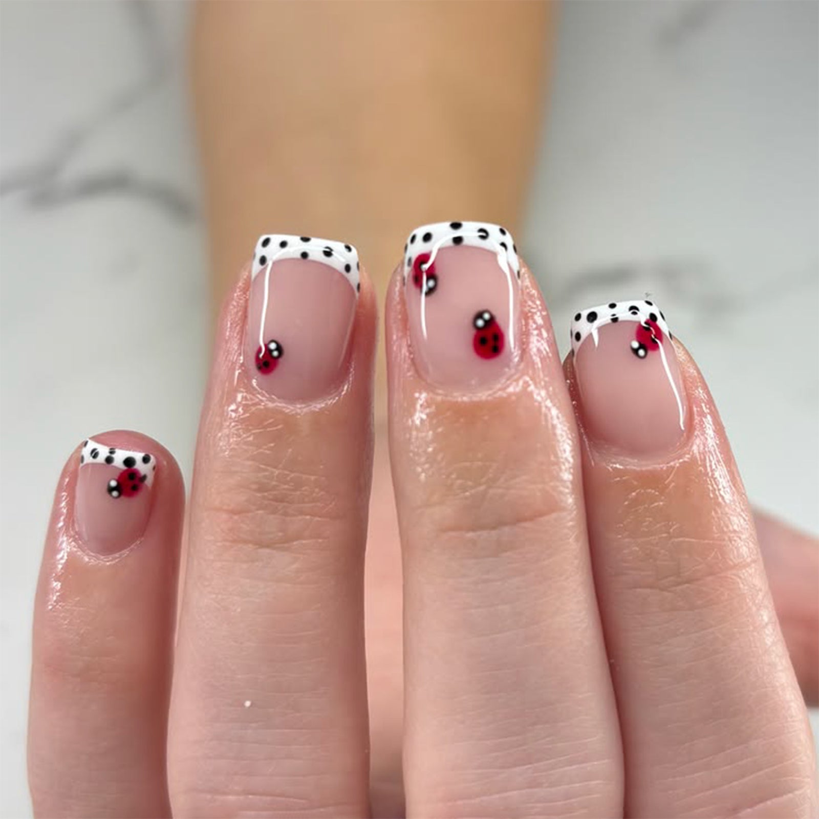 24pcs/Set Polka Dot French Tip with Ladybug Short Press On Nails