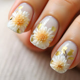 24pcs/Set Glacier Snow Lotus Press-On Nails